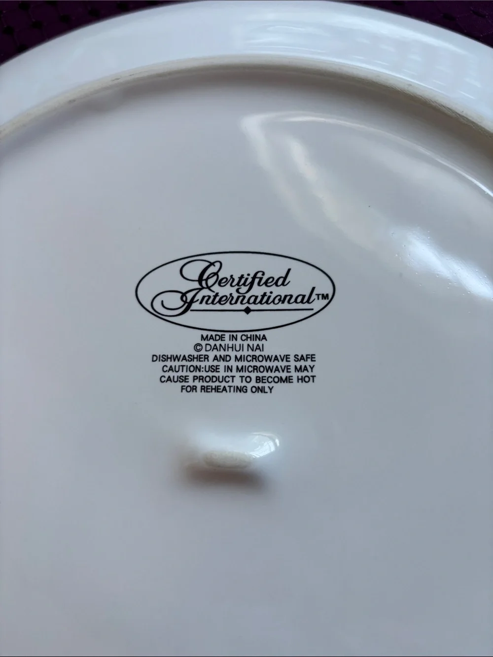 NWOT Certified International “Autumn Harvest” Pumpkin Dinner Plates - Set of 2